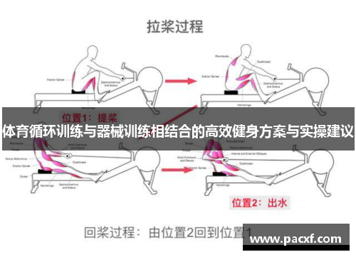 体育循环训练与器械训练相结合的高效健身方案与实操建议